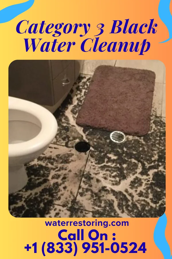 Category 3 Black Water Cleanup in Heidelberg, MS