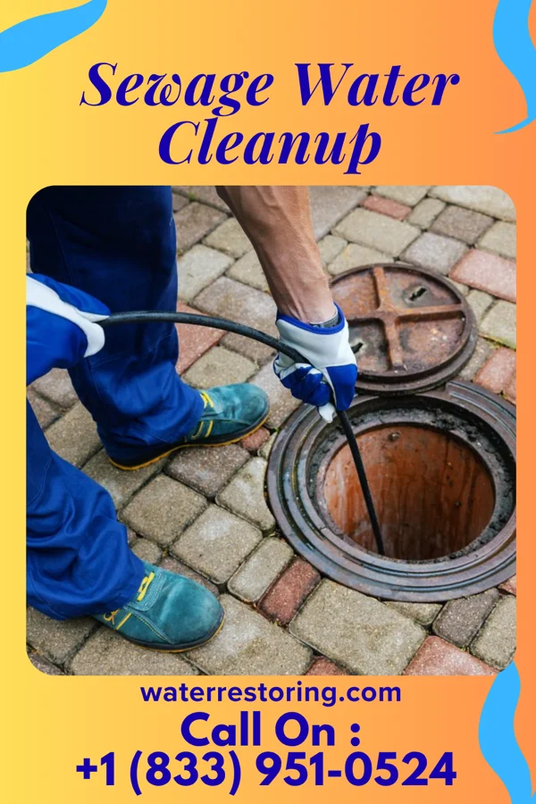 Sewage Water Cleanup in Heidelberg, MS